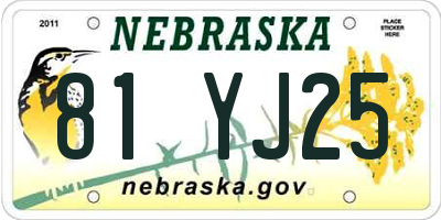 NE license plate 81YJ25