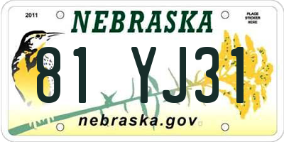 NE license plate 81YJ31