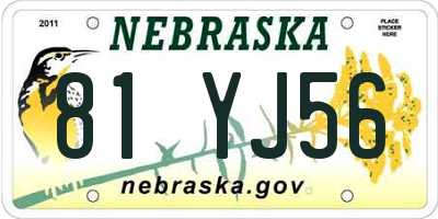 NE license plate 81YJ56