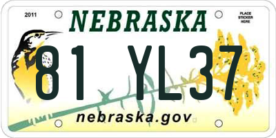 NE license plate 81YL37