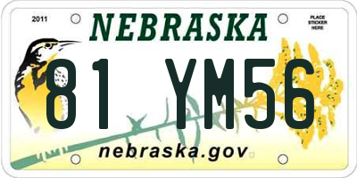 NE license plate 81YM56