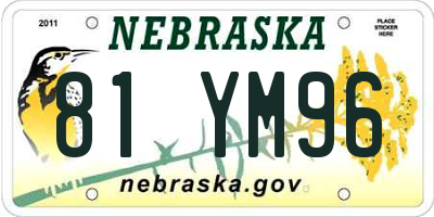 NE license plate 81YM96