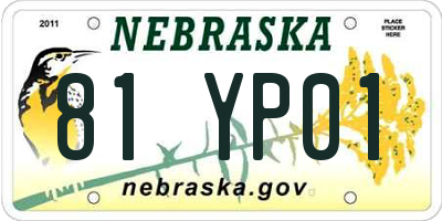 NE license plate 81YP01