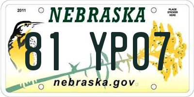 NE license plate 81YP07