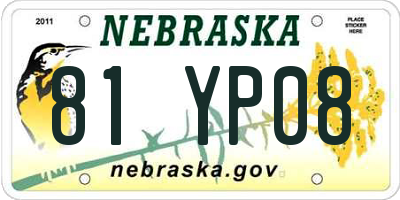 NE license plate 81YP08