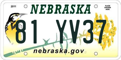 NE license plate 81YV37