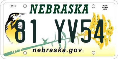 NE license plate 81YV54