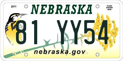 NE license plate 81YY54