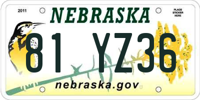 NE license plate 81YZ36
