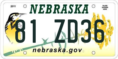 NE license plate 81ZD36