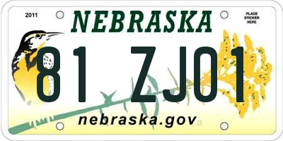 NE license plate 81ZJ01