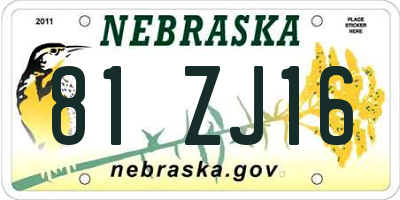 NE license plate 81ZJ16