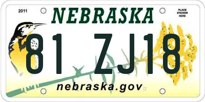 NE license plate 81ZJ18