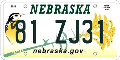 NE license plate 81ZJ31