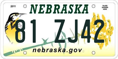 NE license plate 81ZJ42