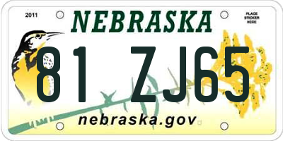 NE license plate 81ZJ65