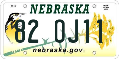 NE license plate 82OJ11