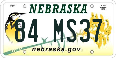 NE license plate 84MS37
