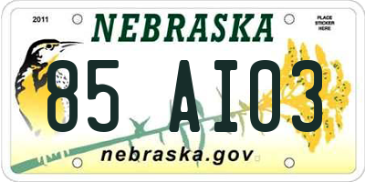NE license plate 85AI03