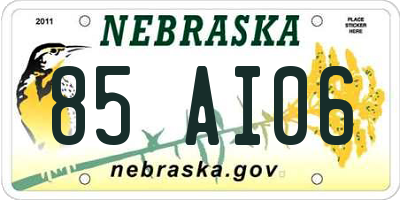 NE license plate 85AI06
