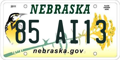 NE license plate 85AI13
