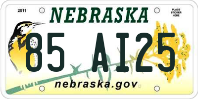 NE license plate 85AI25
