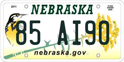 NE license plate 85AI90