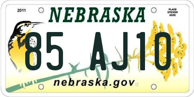NE license plate 85AJ10