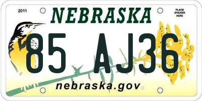 NE license plate 85AJ36