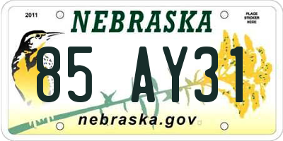 NE license plate 85AY31