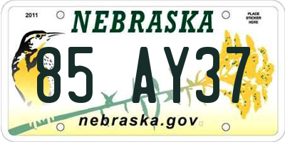 NE license plate 85AY37