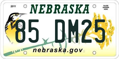 NE license plate 85DM25