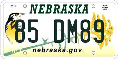 NE license plate 85DM89