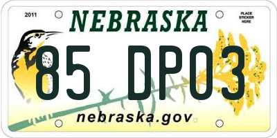 NE license plate 85DP03