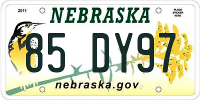 NE license plate 85DY97