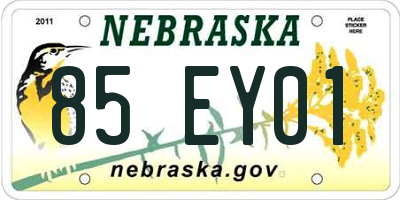 NE license plate 85EY01