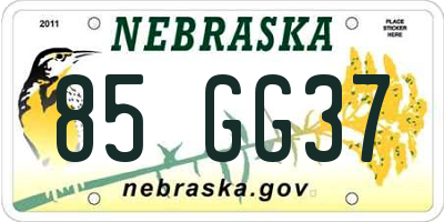 NE license plate 85GG37