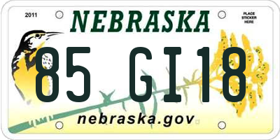 NE license plate 85GI18