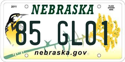 NE license plate 85GL01