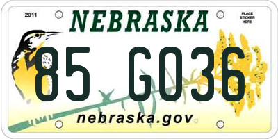 NE license plate 85GO36