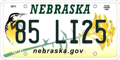 NE license plate 85LI25