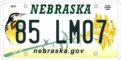 NE license plate 85LM07