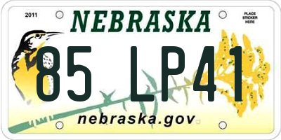 NE license plate 85LP41