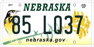 NE license plate 85LQ37
