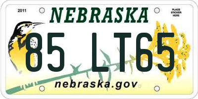 NE license plate 85LT65