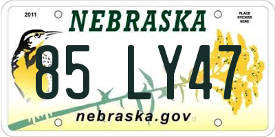 NE license plate 85LY47