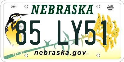 NE license plate 85LY51