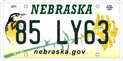 NE license plate 85LY63