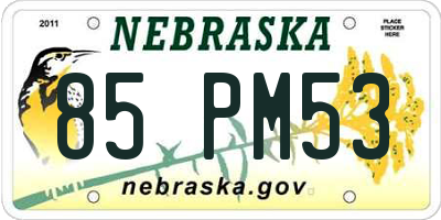 NE license plate 85PM53