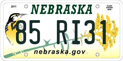 NE license plate 85RI31
